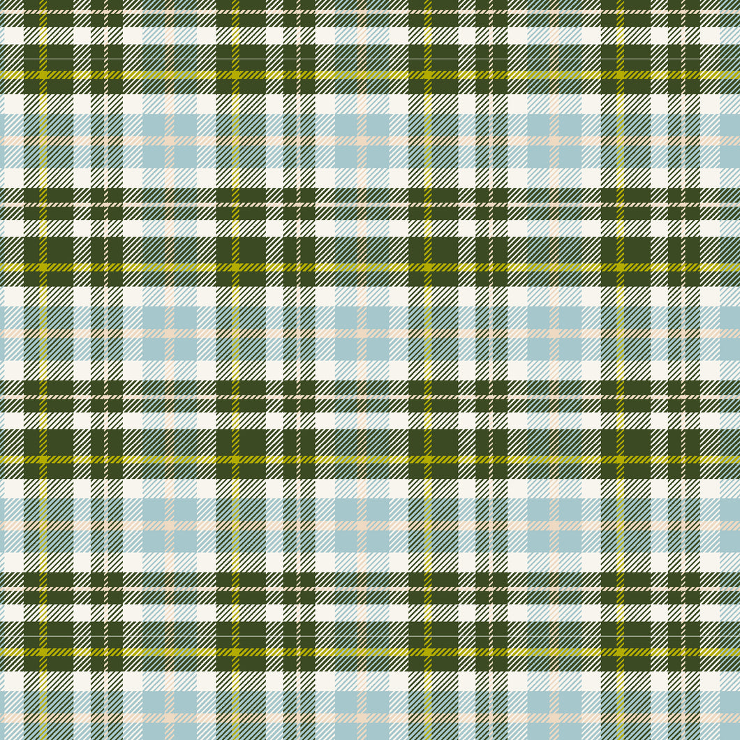 Whimsy and Lore - RJR Fabrics - 1/4 Meter - Clad In Plaid - It's Going To Be A Great Day
