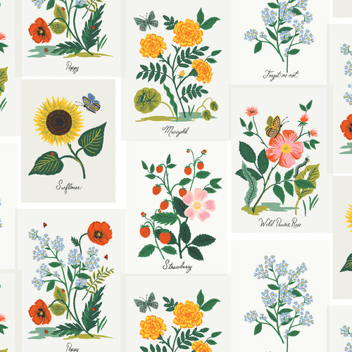 Curio by Rifle Paper Co. - 1/4 Meter - Tulips - 