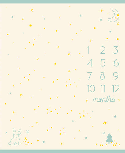 Birthday Baby Calendar PANEL by Ruby Star Society - 36