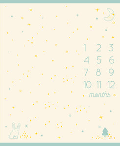 Birthday Baby Calendar PANEL by Ruby Star Society - 36" x 45"