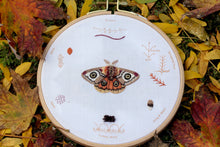 Load image into Gallery viewer, Moth - Embroidery Stitch Sampler