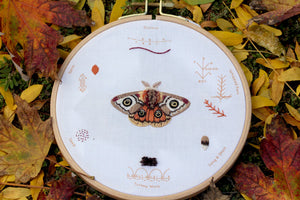 Moth - Embroidery Stitch Sampler